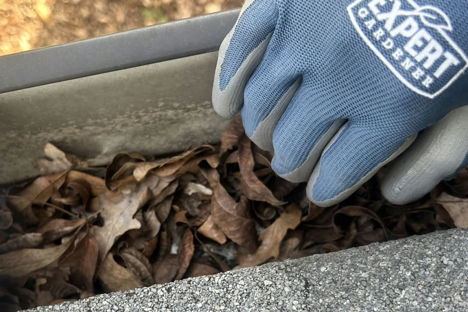 Gutter Cleaning Corinth TX